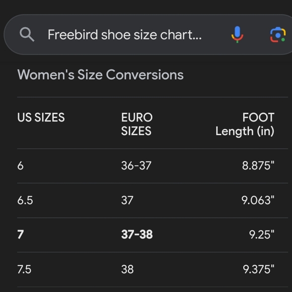 Freebird "Casey" Ankle Boots by Steve - Picture 6 of 6